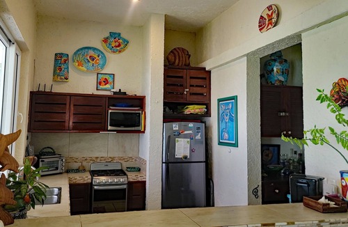 Akumal Condo | Private Beachfront w/Lanai-Pool-Tropical Gardens!
