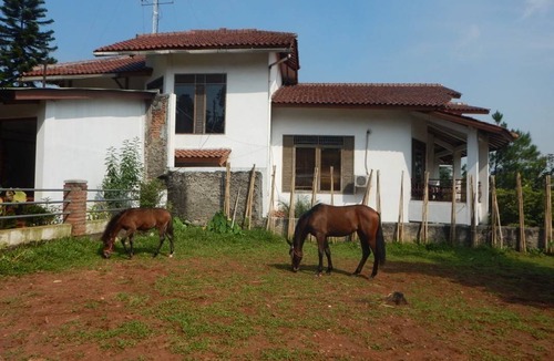 Pondok Gede Resort | Private room ∙ 1 guest