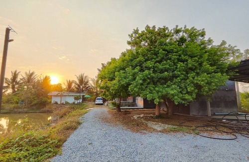 Nong Ya Sai Resort | Private room ∙ 2 guests