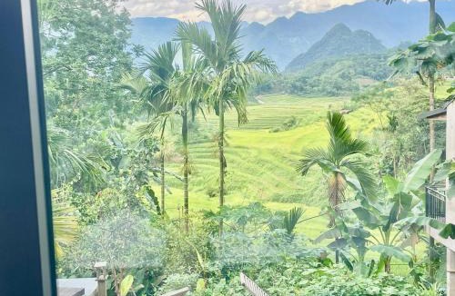 Kho Muong Bed & Breakfast | Puluong Aroma