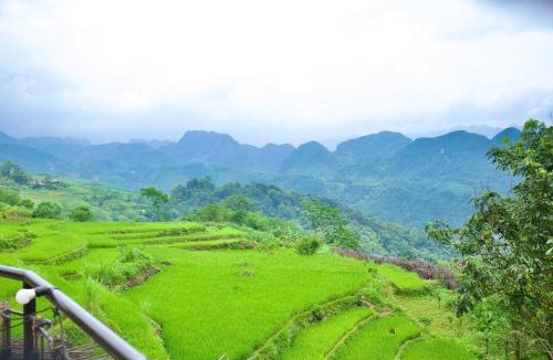 Pu Long Nature Reserve Hotel | Puluong Qui E Ora