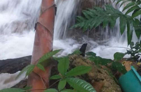 Pu Long Nature Reserve House | Puluongholiday homestay2
