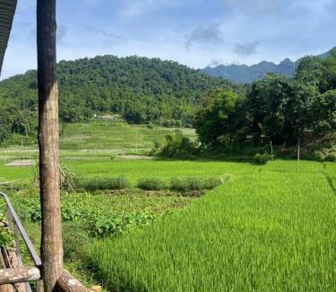Mai Chau House | Quế Homestay