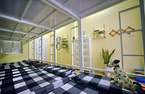 Quy Nhon Hotel | Quy Nhon Homestay BnB