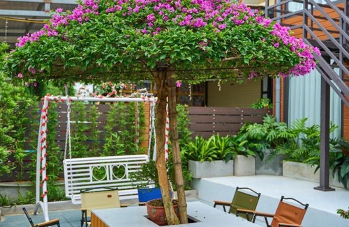 Co To House | Rừng Vàng Homestay