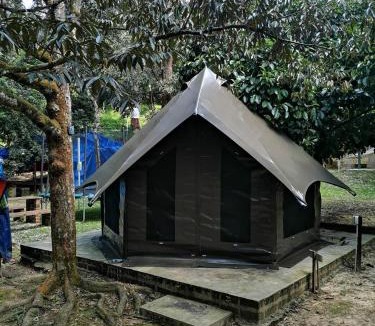 Hulu Selangor Other | Rasa Durio Eco Glampz