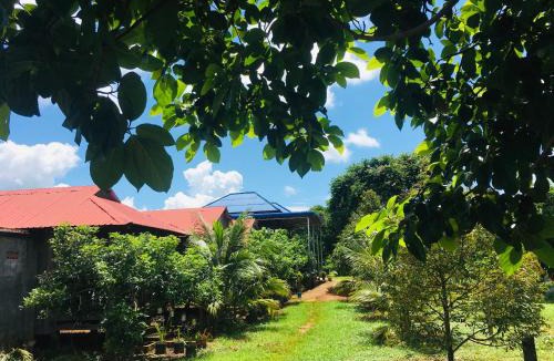 Ban Lung Cabin | Ratanakiri Farmhouse & Trekking