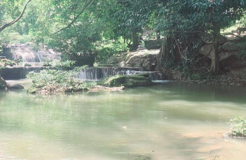 Pong Ta Long Other | River hill khaoyai homestay