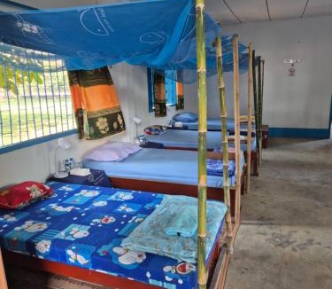 Pakse House | River Mekong guesthouse dortoir