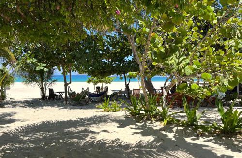 Song Cau Hotel | Robinson Beach Bungalow