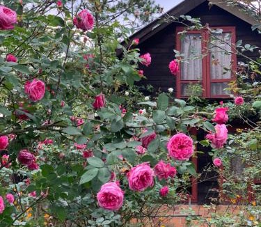 Da Lat Ski Chalet | Romantic house 2 on a pine hill Dalat