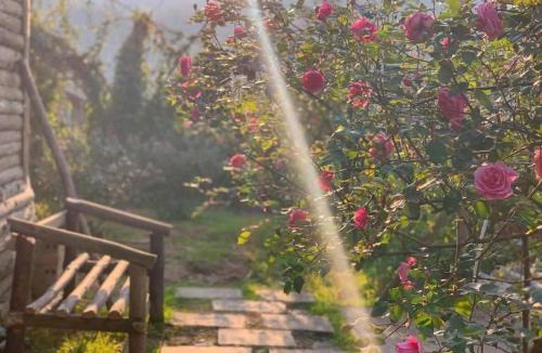 Cha Pai House | Rose Farm Sa Pa