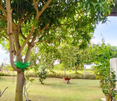 Alor Gajah House | Rose Guest House