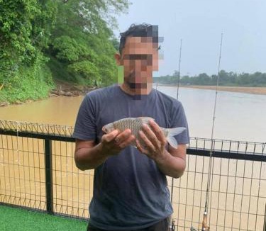 Temerloh Boat Rental | Rumah Rakit Bangau Parit Temerloh
