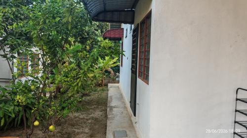 Balok House | Rumah Zaiton