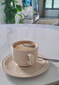 Kota Tinggi House | RuzZana Signature Stay Semi-D Corner Lot-BBQ,Wifi,6-8pack