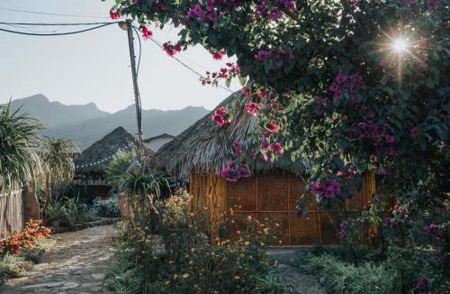 Moc Chau House | SAKURA House - Mộc Châu - Homestay yên bình giữa đồi chè