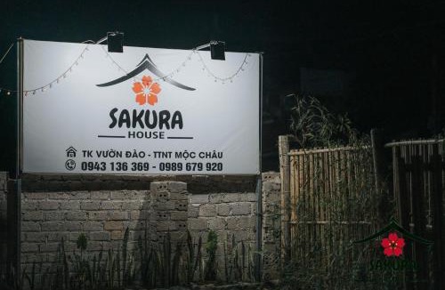Moc Chau House | SAKURA House - Mộc Châu - Homestay yên bình giữa đồi chè