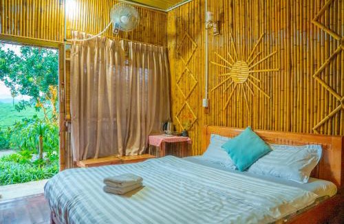 Moc Chau House | SAKURA House - Mộc Châu - Homestay yên bình giữa đồi chè