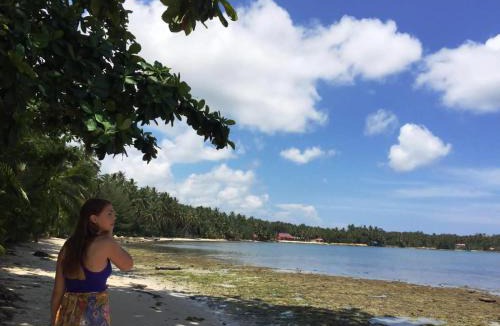 Nias Hostel | Salty Dog Hostel