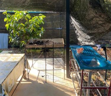 Kampung Sungai Udang House | Serambi Qaseh Homestay With private pool