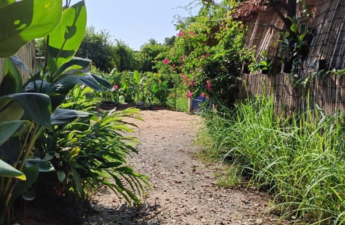 Siem Reap Hostel | Siem Reap Homesteading