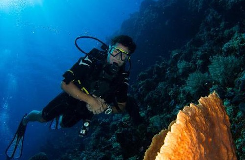 Batudaka Island Resort | Sifa Diving Resort