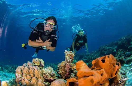 Batudaka Island Resort | Sifa Diving Resort