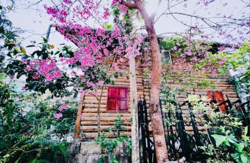 Da Lat Ski Chalet | Simplewoods Homestay in Da Lat