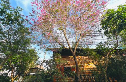 Da Lat Ski Chalet | Simplewoods Homestay in Da Lat