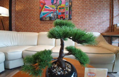 Chiang Mai Bed & Breakfast | Sleep Airport Chiang Mai