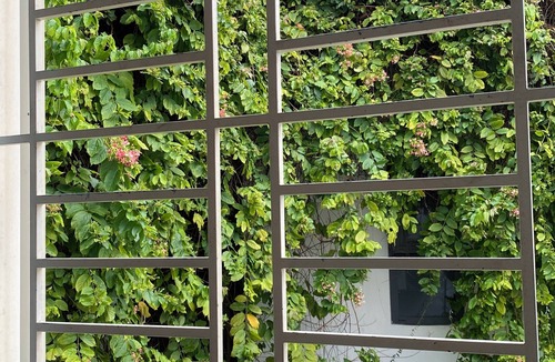 Bach Dang Riverside House | Spacious 3 bedrooms in Central HCMC - Kitchen, Balconyy & Family-Friendly