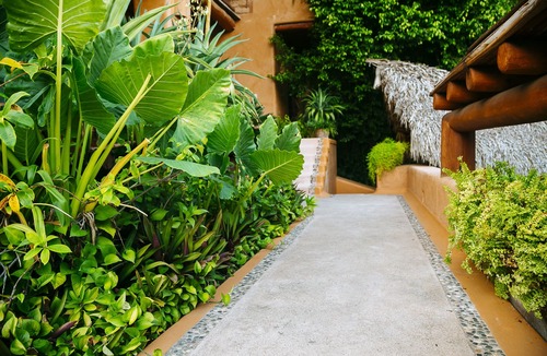 Zihuatanejo Villa | Splendid Villa With an Astonishing View Overlookíng the Bay of Zihua!