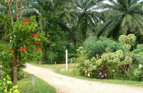 Plai Phraya Hostel | Suan Bang Bon Guest House