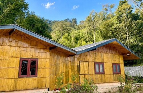 Mae Wang Cabin | Sunny Jungle Waterfall Retreat