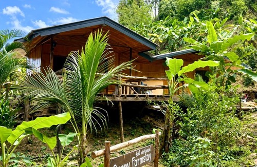 Mae Wang Cabin | Sunny Jungle Waterfall Retreat