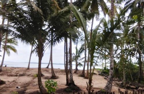 Pulau Masokut House | sunsetlodge Mentawai