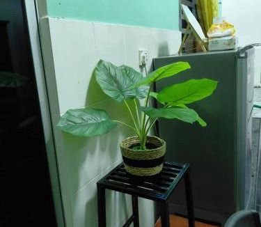 Kampung Gudang Rasau House | Suri Homestay