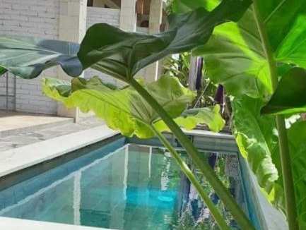 Selong Belanak Hotel | Surya Lombok Accommodation
