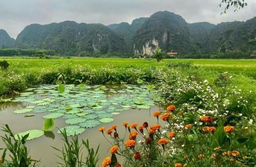 Hoa Lu House | Tam Coc Mountain View Homestay