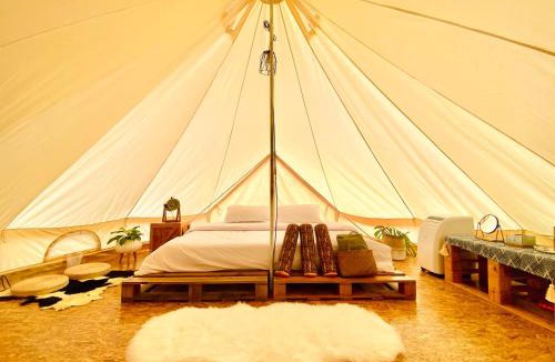 Khlong Sok Other | Tanoshi Glamping In Khao Sok