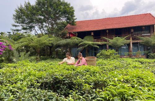 Bao Loc Cabin | Tea Garden House