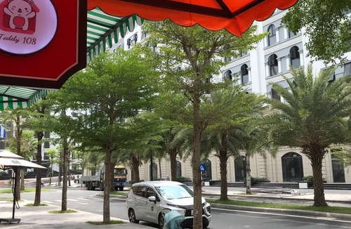 Ganh Dau House | Teddy 108 Homestay (Gưu s ưa)