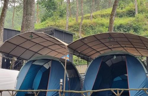 Pangalengan Other | Tepian Pinus Glamping