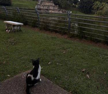 Gua Other | test place