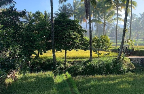Tetebatu House | Tetebatu rice field bliss