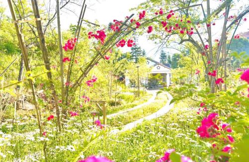 Cha Pai Villa | Thanh Truc Villa & Flower