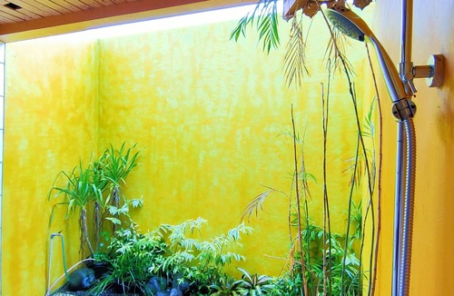 Borobudur Bed & Breakfast | The Amrta Borobudur