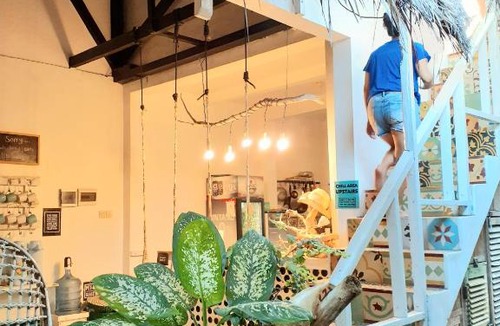 Karimunjava Hostel | The Bodhi Tree Karimunjawa