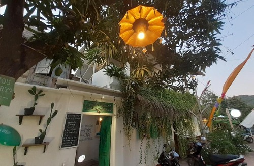 Karimunjava Hostel | The Bodhi Tree Karimunjawa